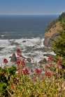 Oregon. Pacific coastline Boardman State Scenic Corridor landscape with wildflowers in foreground Art Print